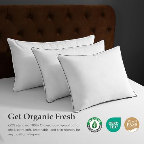 DWR Luxus Daunenkissen 80x80 cm – Ultra Komfortables Federkissen mit 3 Kammer Füllung für erholsamen Schlaf