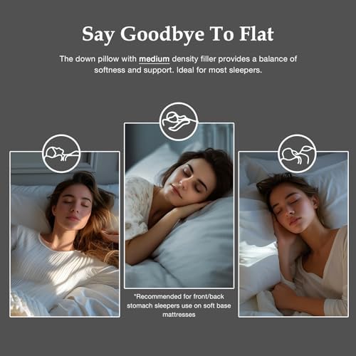 DWR Luxus Daunenkissen 80x80 cm – Ultra Komfortables Federkissen mit 3 Kammer Füllung für erholsamen Schlaf