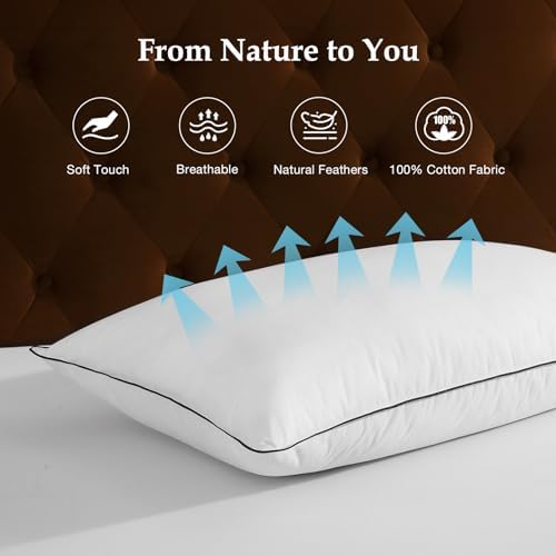 DWR Luxus Daunenkissen 80x80 cm – Ultra Komfortables Federkissen mit 3 Kammer Füllung für erholsamen Schlaf