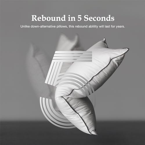 DWR Luxus Daunenkissen 80x80 cm – Ultra Komfortables Federkissen mit 3 Kammer Füllung für erholsamen Schlaf
