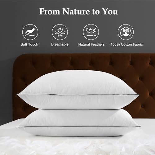 DWR Luxus Daunenkissen 80x80 cm – Ultra Komfortables Federkissen mit 3 Kammer Füllung für erholsamen Schlaf